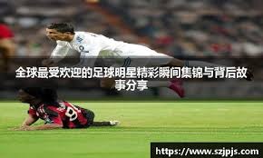 悉的开