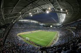 新固